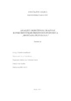 Analiza okruženja i razvoj konkurentskih prednosti poduzeća "Montana plus d.o.o"