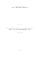 Support of small and medium entrepreneurship in the rural areas of the European Union