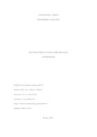 prikaz prve stranice dokumenta Računovodstvo poslovnih spajanja