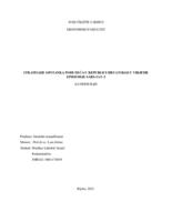 prikaz prve stranice dokumenta Strategije opstanka poduzeća u Republici Hrvatskoj u vrijeme epidemije SARS-CoV-2