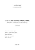 prikaz prve stranice dokumenta Izvoz usluga u trgovanju nekretninama na primjeru poduzeća Casa Bella d.o.o.